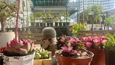 Ngoc Minh Hotel – 照片 6
